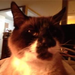 Meet your Posher, Deanne